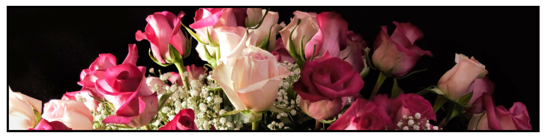 pink-roses-for-valentine-s-day.png