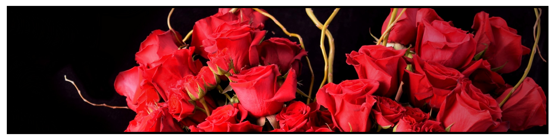 red-roses-for-valentine-s-day.png